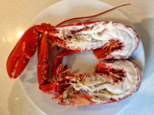 East Neuk Lobster - Cooked, Split and Cleaned