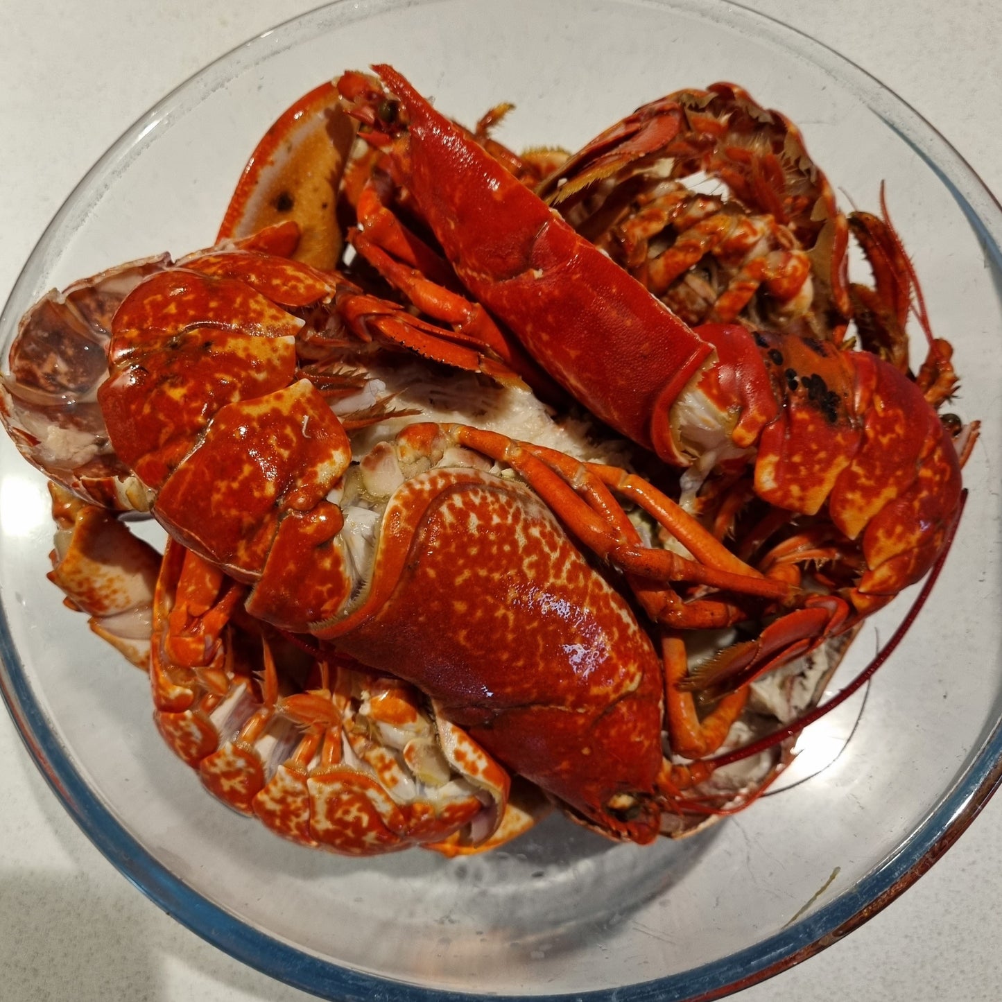 East Neuk Lobster Shells for Stock - 1kg